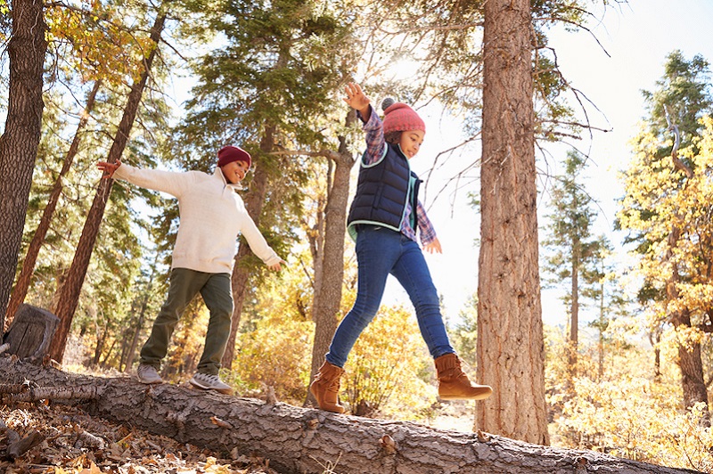 Children Walking in Forest