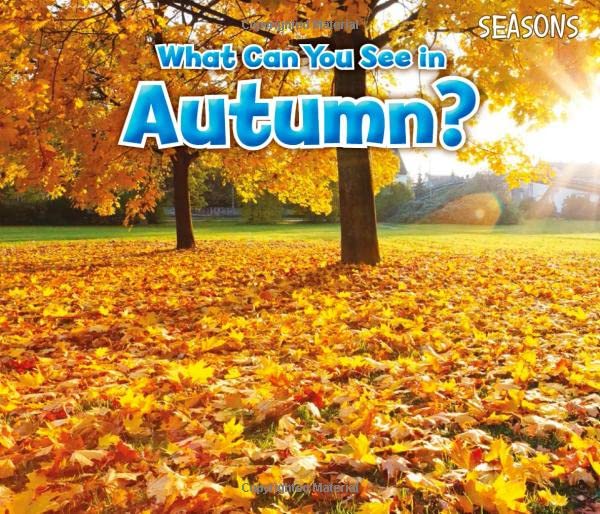 Seasons: What Can You See In Autumn?