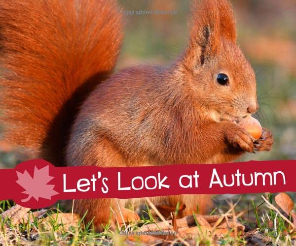 Investigate the Seasons: Let's Look at Autumn