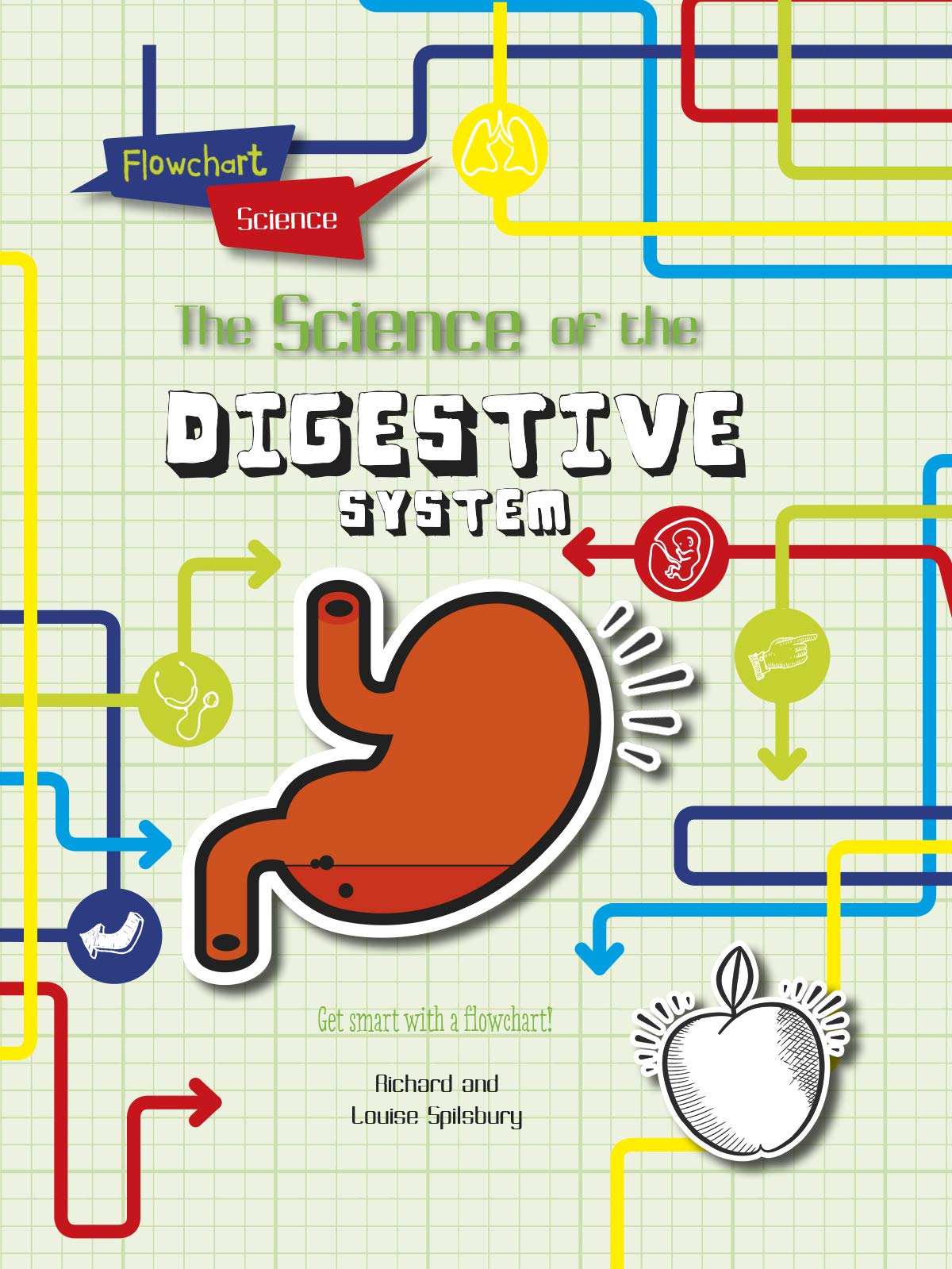 Flowchart Science: The Human Body: The Digestive System